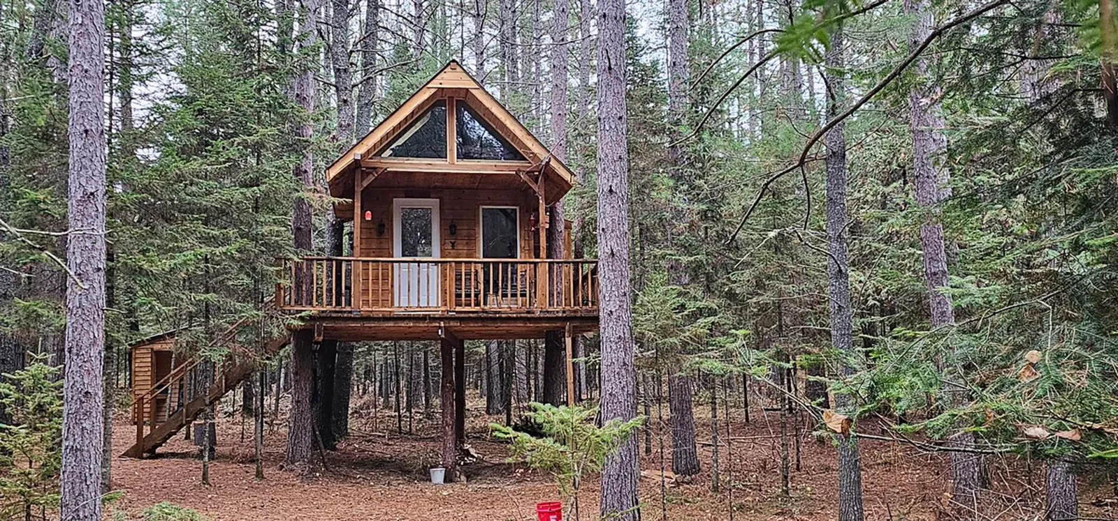The Treehouse 1