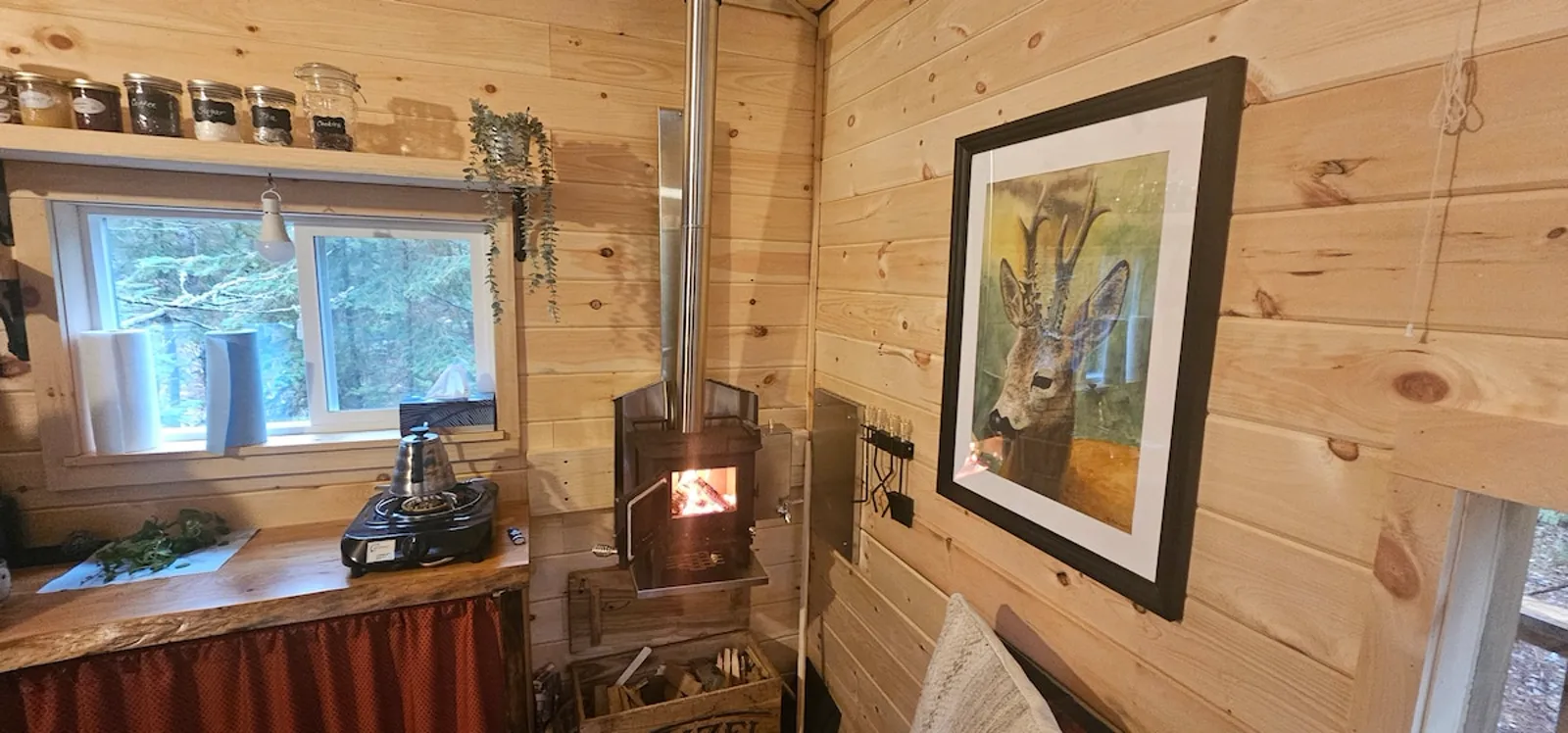 The Treehouse 3