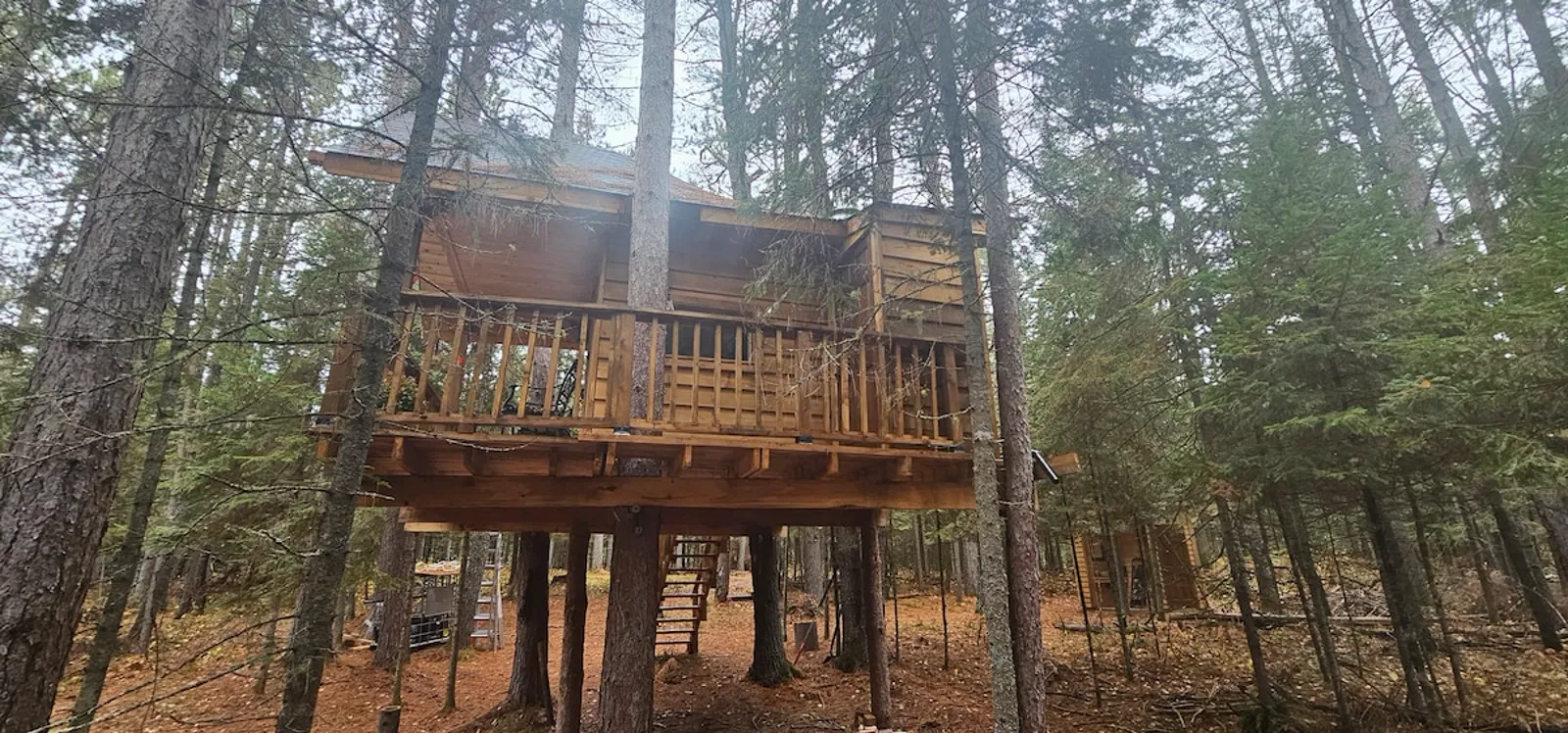 The Treehouse 4